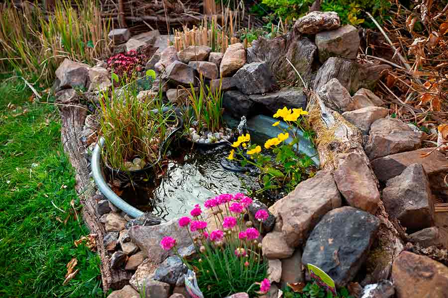 راهکارهای مقرون‌به‌صرفه برای طراحی فضای سبز